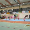 dnio 46